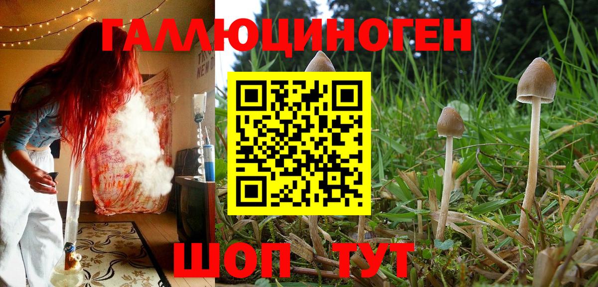 Галлюциногенные грибы MAGIC MUSHROOMS  Вход с VPN  Архангельск 