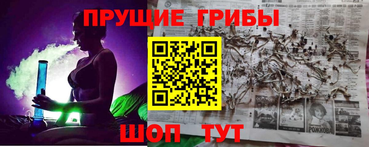 Псилоцибиновые грибы мухоморы Архангельск